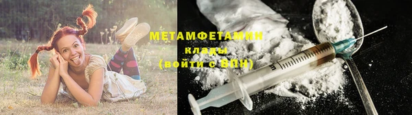индика Ладушкин