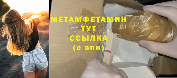 индика Ладушкин