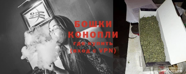 индика Ладушкин
