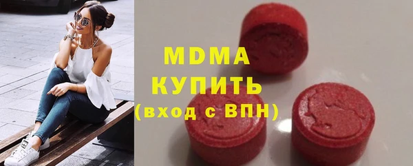 индика Ладушкин