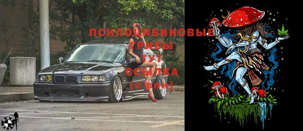 индика Ладушкин