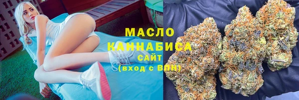 индика Ладушкин
