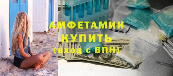 индика Ладушкин