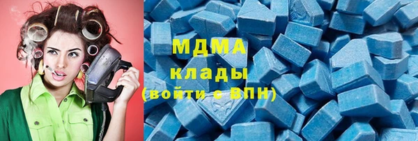 индика Ладушкин