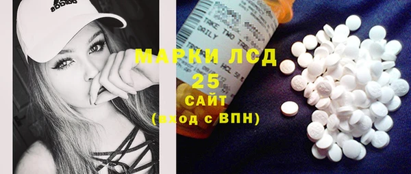 индика Ладушкин