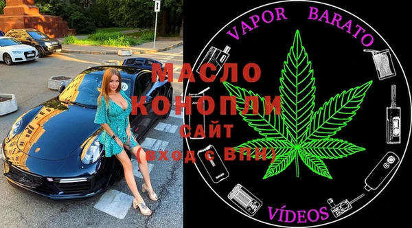 индика Ладушкин